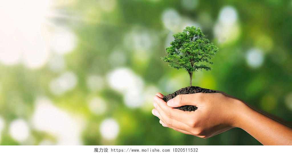 绿色手呵护植物生长树木绿植环保手捧双手保护光斑背景珍爱生命